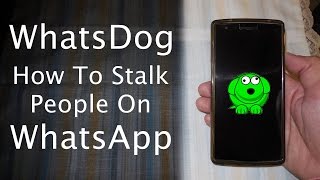 WhatsDog  How To Stalk GFBFPPL On WhatsApp [upl. by Bradway]