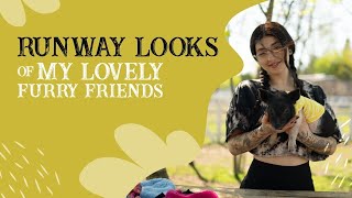 Stylish amp Trendy Outfit Ideas for Every Occasion Adorable Pets in RunwayReady Outfits [upl. by Anilorac]