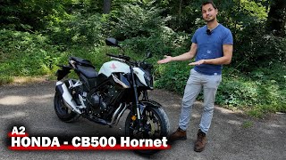 Honda CB500 HORNET  La meilleure moto A2  Spéciale jeune permis moto [upl. by Anaehs740]