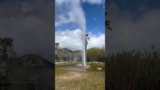 Old faithful Geyser Calistoga [upl. by Lledra]