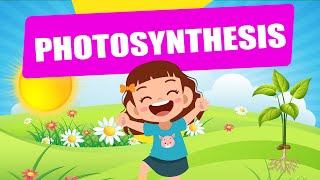 Photosynthesis  Educational Video  Science Lesson  Crash Course  Biology  Plants [upl. by Sosthina]