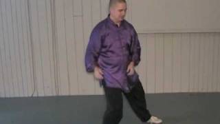 24 Form Tai Chi  Lesson 10  Grasp Birds Tail  part 2 [upl. by Kerk768]