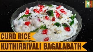 Curd Rice in Tamil Thayir Sadam in Tamil  Bagalabath in Tamil  தயிர் சாதம் [upl. by Carlyn619]