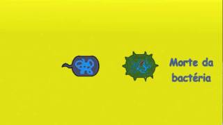 Microbiologia  Transferência Horizontal de Genes em Bactérias [upl. by Klecka]