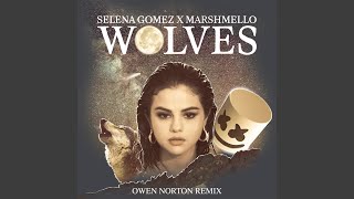 Wolves Owen Norton Remix [upl. by Cecilla445]