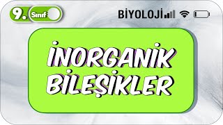 İnorganik Bileşikler  Nelerdir  Genel Özellikleri  9Sınıf Biyoloji 2023 [upl. by Jarnagin]