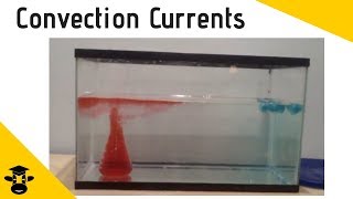 Convection Current Demonstration [upl. by Aneetsirk]