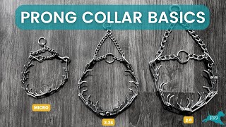 Prong Collar Basics  Freedom K9 Training [upl. by Leighton]