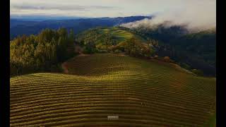 Sonoma Horizon  Mac OS Sonoma Home Screen Saver  HDLive Wallpaper [upl. by Clemente]