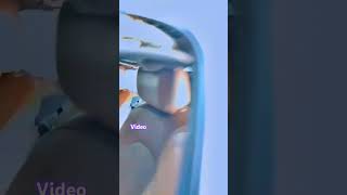 Video vtuberyt vtuberyt 🏎️ youtuvevtuber 🚘 dancemusic 🚘 tranding 🚘 [upl. by Amehr303]