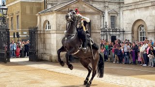 HORSE QUITS  King’s Guards Shows Brilliant Display of Horsemanship Talent [upl. by Enomas818]