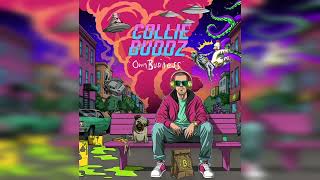 Collie Buddz  Own Business Official Audio [upl. by Norrahs465]