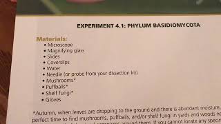 Apologia Biology Experiment 41PHYLUM BASIDIOMYCOTA [upl. by Nathanael]