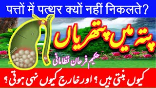 Gallbladder Stone treatment in Urdu  Pity ki pathri Ka ilaj  Hakeem Farhan N [upl. by Claudius]