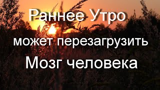 Релаксация на мозг человека Природные стимулы мозга в раннее утро Это путь к успеху и здоровью [upl. by Soulier]