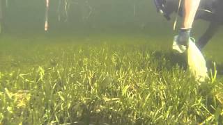 Scalloping at Port St Joe Bay Florida [upl. by Nabru]