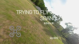 Trying to fly sbang [upl. by Anselma]