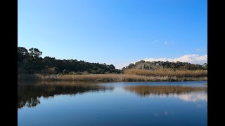 Itinerari a Trapani e Provincia Riserva Naturale Oasi WWF Lago Preola e Gorghi Tondi [upl. by Alper321]