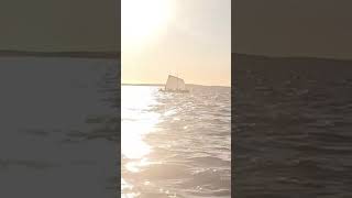 Une pinassotte du Bassin d’Arcachon au soleil couchant windsurfer windsurf windsurfing windfoil [upl. by Hakeber638]