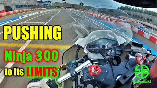 PUSHING Ninja 300 To Its LIMITS  Onboard 4K [upl. by Elbon]