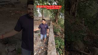 Bengal Tiger inside resort in corbett youtubereels tiger jimcorbett travelvlog viralshort [upl. by Eiramnaej458]