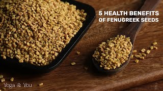 5 Surprising Health Benefits of Fenugreek Seeds  Secret Power of Fenugreek Seeds VentunoYoga [upl. by Libenson442]