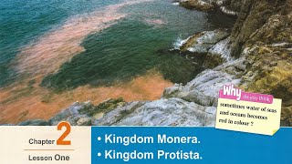 Sec 1\ Biology 2nd term\ Unit 4 \ Chapter 21 Kingdom Monera and Kingdom Protista [upl. by Jacinthe]