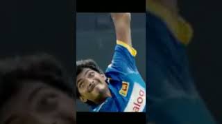 Sl cricket best cricket  subscribe [upl. by Lladnarc]