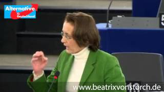 26112014  Mißtrauensvotum Juncker  Beatrix von Storch [upl. by Ann-Marie]