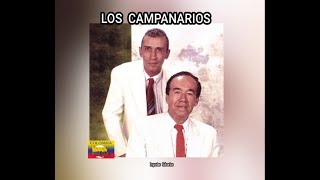 LOS CAMPANARIOS  INGRATAS FALSARIAS LETRA [upl. by Dalton558]