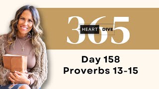 Day 158 Proverbs 1315  Daily One Year Bible Study  Audio Bible Reading with Commentary [upl. by Lantz]