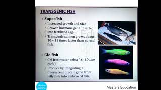 Transgenic fish transgenicanimals shorts trangenicfish fish glowfish GMfish msc bsc [upl. by Atsillac]