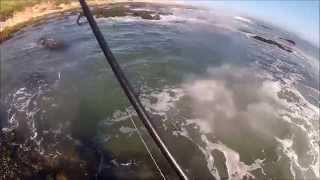 Pesca Bailas ao Spinning  Figueira da Foz Spotted seabass Fishing [upl. by Wolfgram]