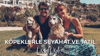 KoÌˆpeklerle Seyahat  KÃ¶peklerle Yaz Tatilimiz [upl. by Dodge]