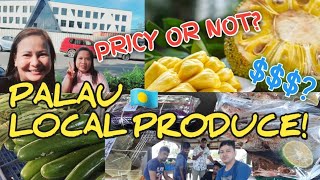 WHAT TO BUY IN LOCAL MARKET DAY IN KOROR REPUBLIC OF PALAU 🇵🇼 islandlife micronesia palau [upl. by Doughman]