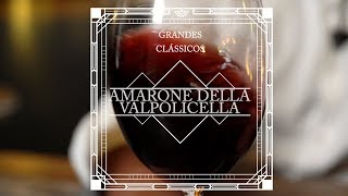 Clássicos  Amarone della Valpolicella [upl. by Nosredna]