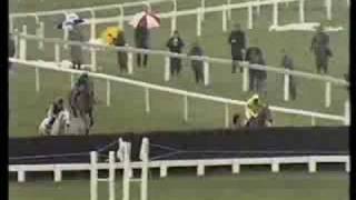 Desert Orchid 1989 Cheltenham Gold Cup [upl. by Zobias257]