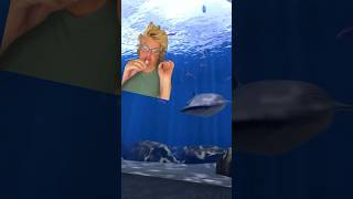 Shark Week Whale Shark Breaks Glass shark greenscreen funny [upl. by Bourque]