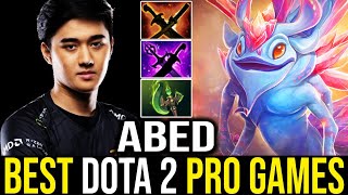 Abed  Puck Mid  Dota 2 Pro Gameplay Learn Top Dota [upl. by Oahc]