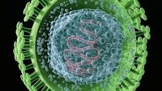 Virus Purification using Ultracentrifugation [upl. by Duky]