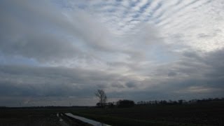 Weerbericht vrijdagochtend Regen en wind [upl. by Piderit842]