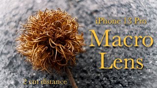 iPhone 13 Pro  Macro Lens Video Test [upl. by Oeflein144]