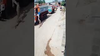 😱OMG leopard attack human and dog in road shorts [upl. by Recor]