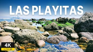 Explorando el andador en Las Playitas Ensenada con marea baja y un poco de niebla  2024 [upl. by Campagna]