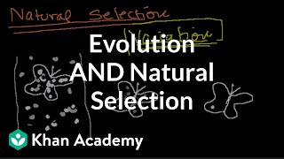 Introduction to Evolution and Natural Selection [upl. by Sapers]