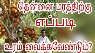 How to place proper fertilizers for coconut tree  Agriculture Videos Tamil Culture [upl. by Thea695]