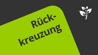 Rückkreuzung  Eine Erklärung  Biologie  Genetik [upl. by Zippora]