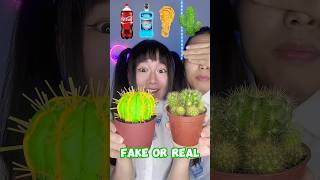 Fake Or Real Challenge 🥵Extreme ASMR asmr funny [upl. by Auqenahs196]