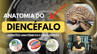 Anatomia do Diencéfalo [upl. by Enelyad59]