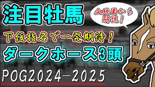 【POG20242025注目牡馬】新種牡馬シスキンは少数精鋭だが面白い！？一発期待のダークホース3頭を紹介！【バーチャルサラブレッド・リュウタロウ】 [upl. by Fesuoy113]